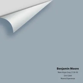 Benjamin Moore - New Hope Gray 2130-50 Colour Sample