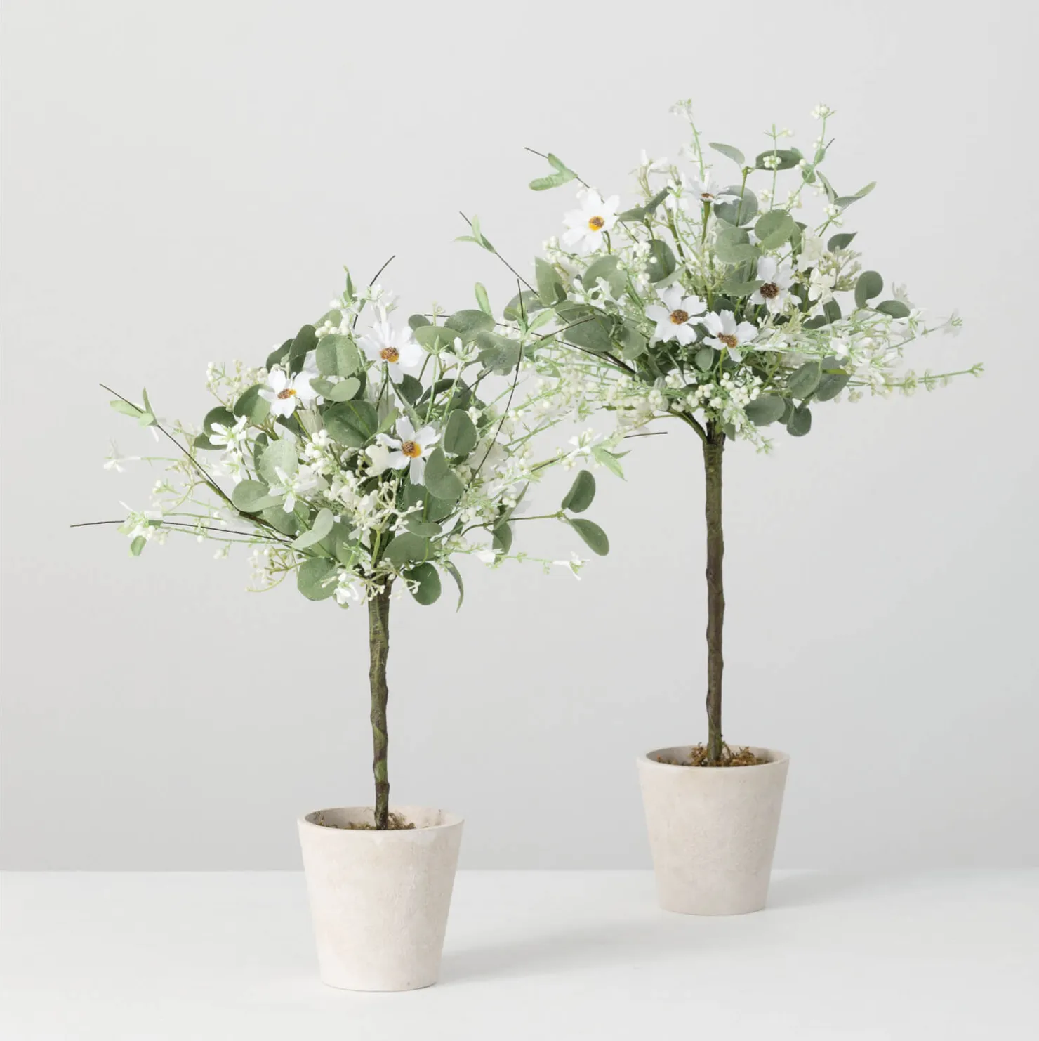 Daisy / Eucalyptus Topiary SM/LG