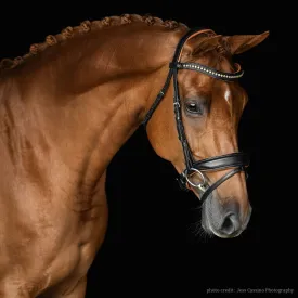 Malvern Saddlery Topaz Night Bridle