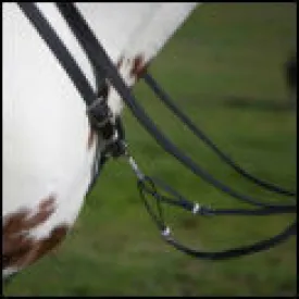 Reins Beta Biothane®